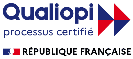 Formation certifié qualiopi. Nous vous préparons à la sélection pilote Cadets Air France dans nos centres sur Paris, Marseille, Lyon, Lille, Toulouse, Bordeaux, Lille